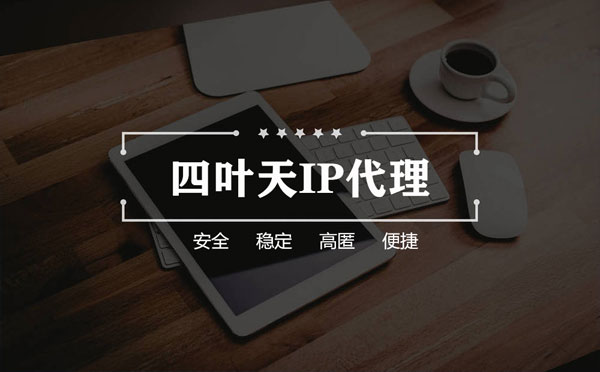 【神农架代理IP】如何快速搭建代理IP？怎么检查代理的效果？